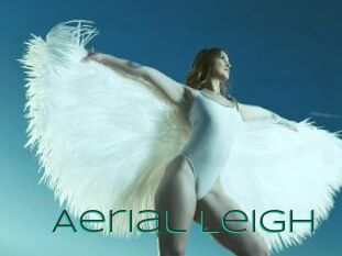 Aerial_Leigh