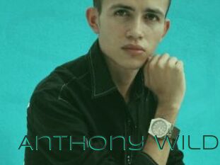 Anthony_wild