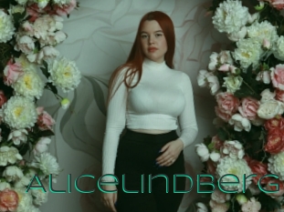 Alicelindberg