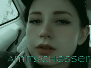 Amitychesser