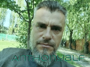 Anthonyalf