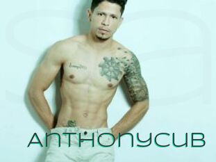 Anthonycub