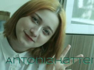 Antoniahatter