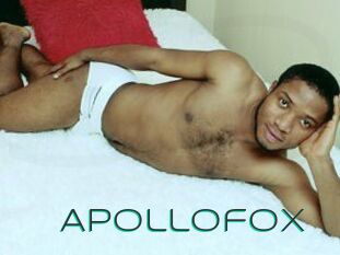 Apollofox