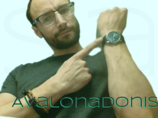 Avalonadonis