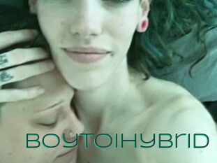 BoytoiHybrid