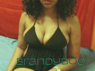 BrandyBoo