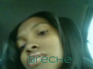 Breche