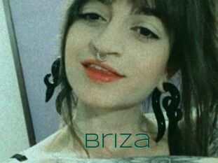 Briza