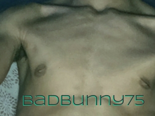 Badbunny75