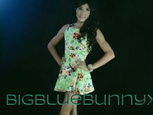 Bigbluebunnyx