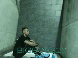 Bigboss22