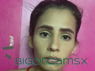 Bigorgamsx