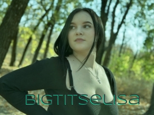 Bigtitselisa