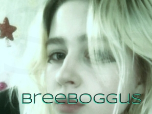 Breeboggus