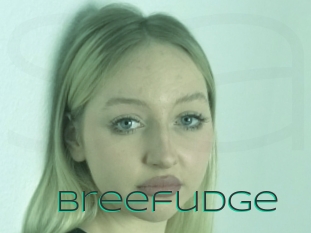 Breefudge