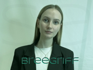 Breegriff