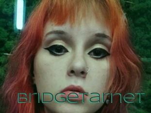 Bridgetarnet