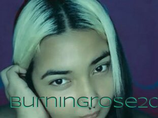 Burningrose20