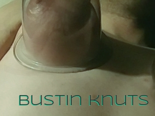 Bustin_knuts