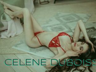 CELENE_DUBOISS