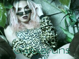 CIARABruns