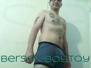 CyberSex_BoyToy