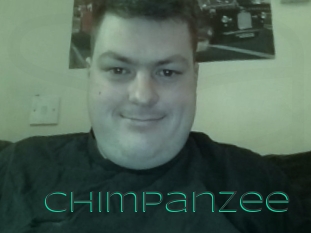 Chimpanzee