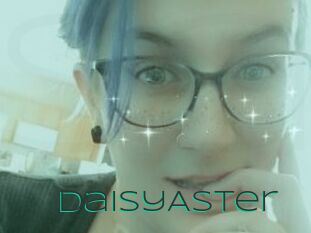 DaisyAster