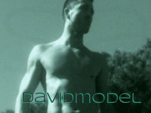 Davidmodel