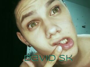 David_sk