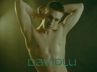 Davidlu