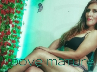 Dove_mature