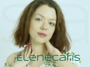 Elenecaris