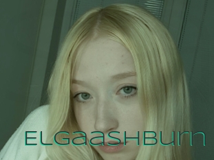 Elgaashburn