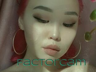 FactorCam