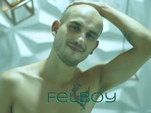 Felboy