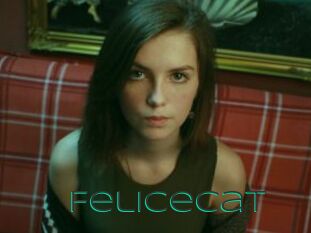 Felicecat