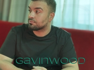 gavinwood Sex Agent