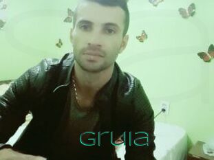 Gruia