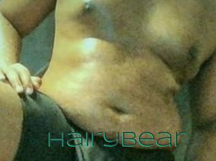 HairyBear