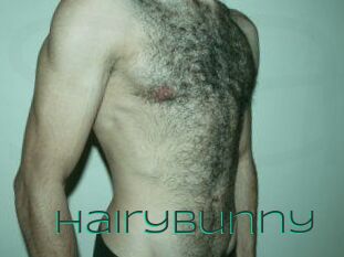 HairyBunny