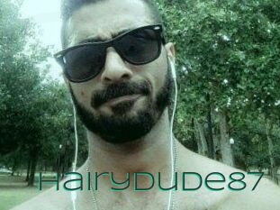 Hairydude87