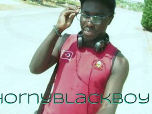 Hornyblackboy