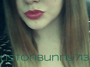 Houstonbunny713