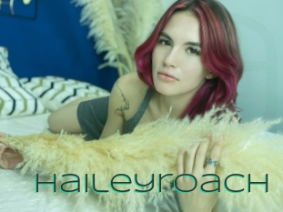 Haileyroach