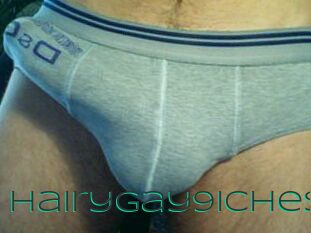 Hairygay9iches