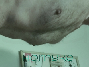 Hornyke