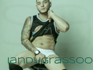 Iandygrassoo