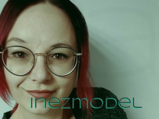 Inezmodel